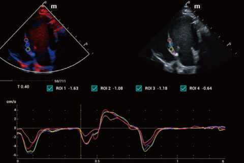 Diagnóstico por imagen veterinario trabajo 3